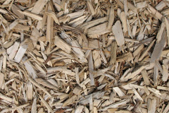 biomass boilers Anwoth